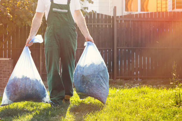 Best Junk Removal Near Me  in Taylorvle, IL