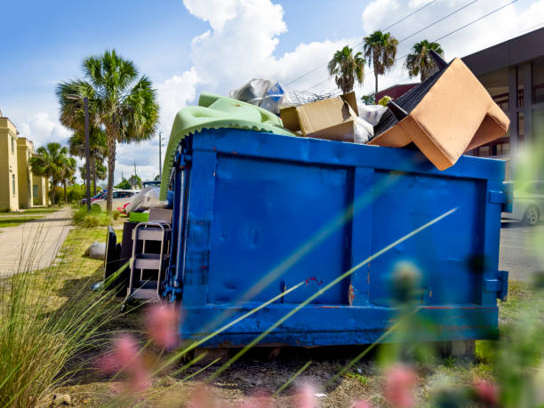 Best Furniture Removal Near Me  in Taylorvle, IL